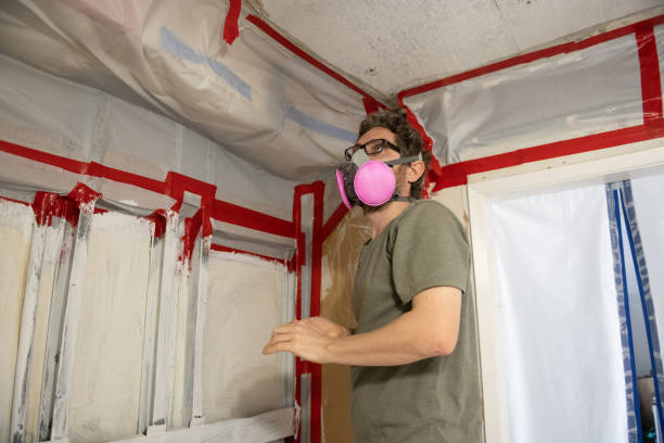 Biohazard Mold Removal in Avocado Heights, CA