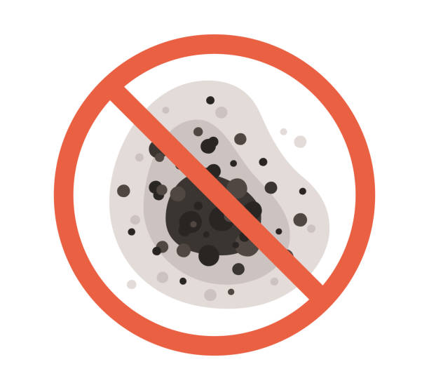 Best Residential Mold Inspection & Testing  in Avodo Heights, CA