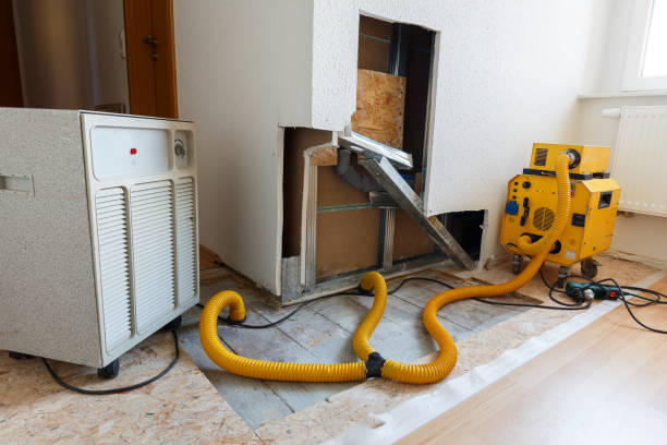 Best Forensic Mold Investigation  in Avodo Heights, CA